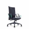 Low Back Office Leather Chair