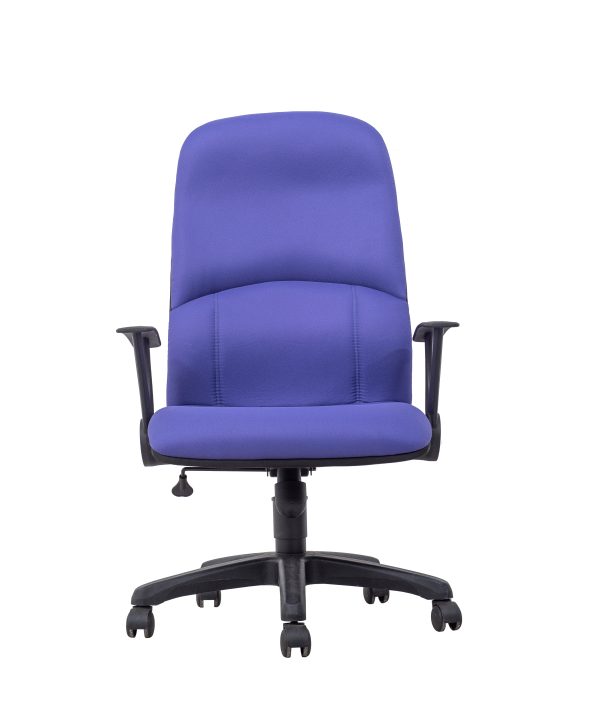 Executive Fabric Office Chair  – A-EXE 54/55