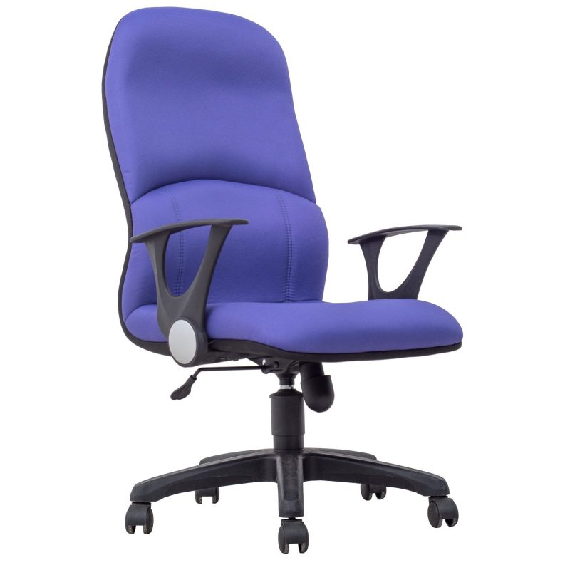 Executive Fabric Office Chair  – A-EXE 54/55