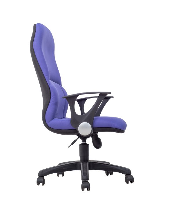 Executive Fabric Office Chair  – A-EXE 54/55
