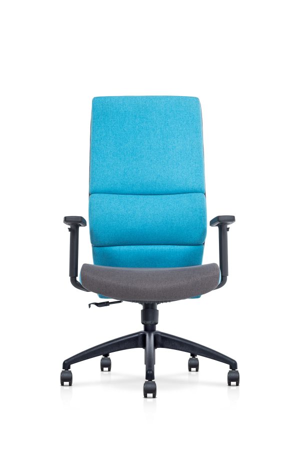 Executive Fabric Office Chair – A-EXE 36/37/38 N