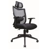 Executive Mesh Office Chair – L-NT 05