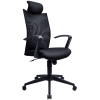 Executive Mesh Office Chair – L-NT 25