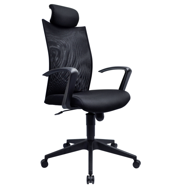 Executive Mesh Office Chair – L-NT 25