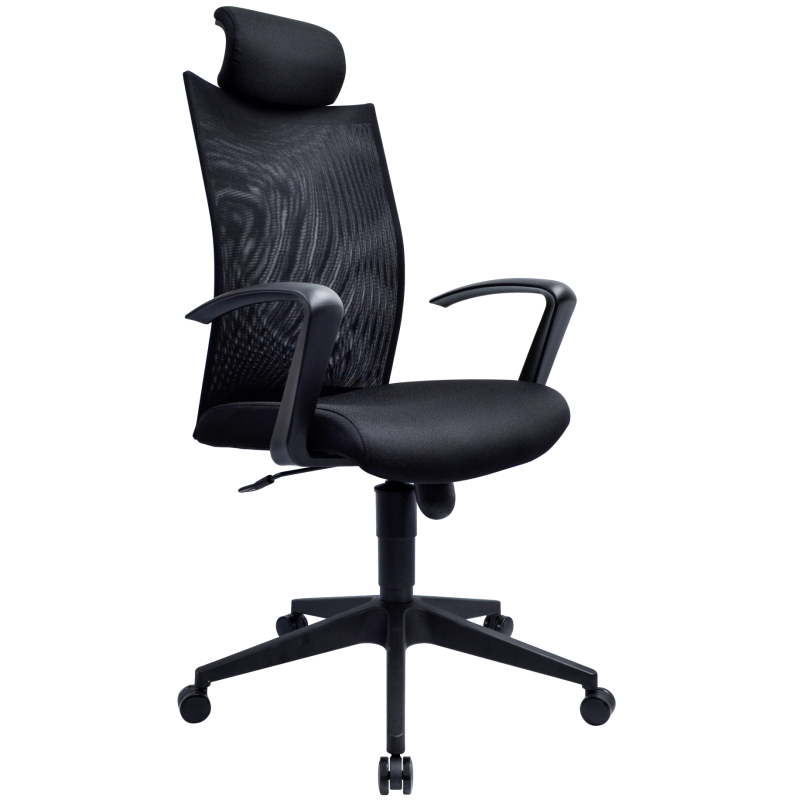 Executive Mesh Office Chair – L-NT 25 Executive Mesh Office Chair – L-NT 25