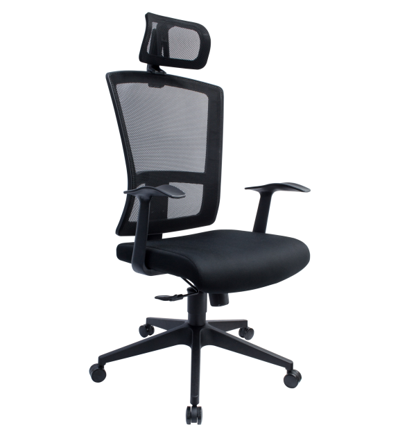 Executive Mesh Office Chair – L-NT 26