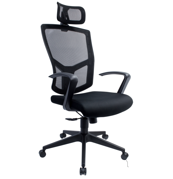 Executive Mesh Office Chair – L-NT 28