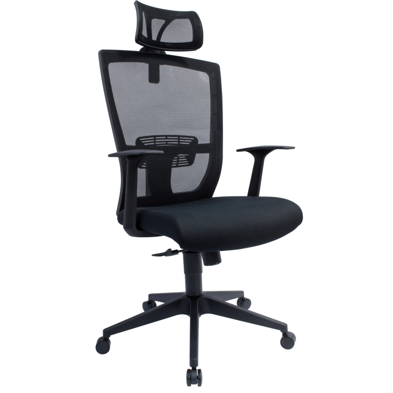 Executive Mesh Office Chair – L-NT 29 Executive Mesh Office Chair – L-NT 29