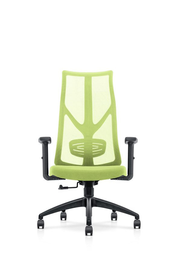 Executive Mesh Office Chair – A-NTT 102