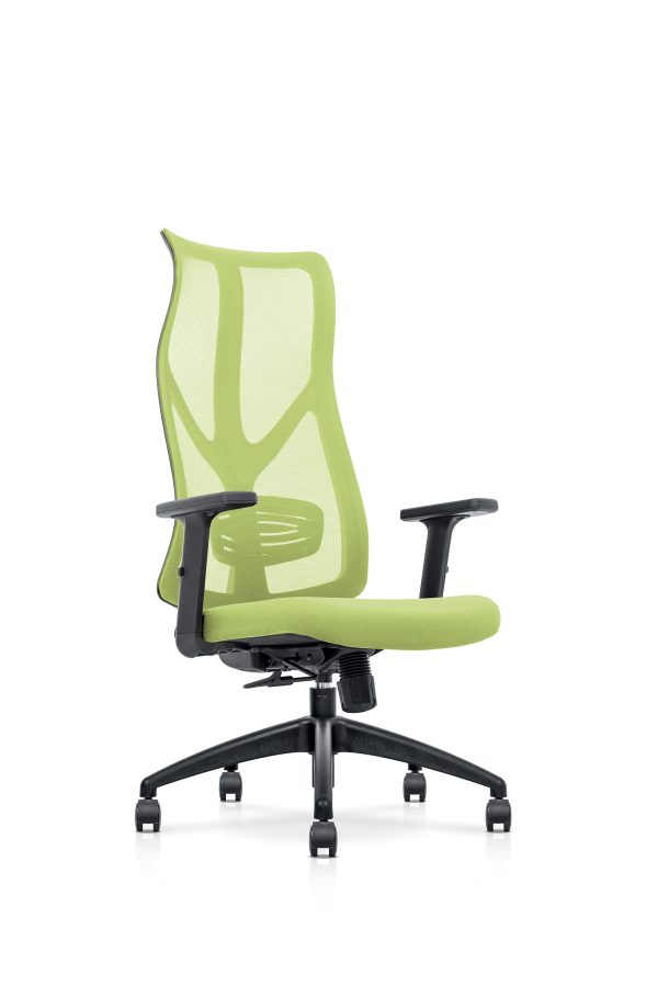 Executive Mesh Office Chair – A-NTT 102