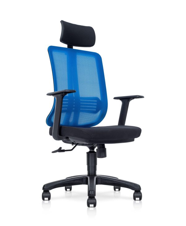 Executive Mesh Office Chair – A-NTT 54/55/56