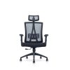 Executive Mesh Office Chair – A-NTT 99/100