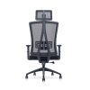 Executive Mesh Office Chair – A-NTT 99/100