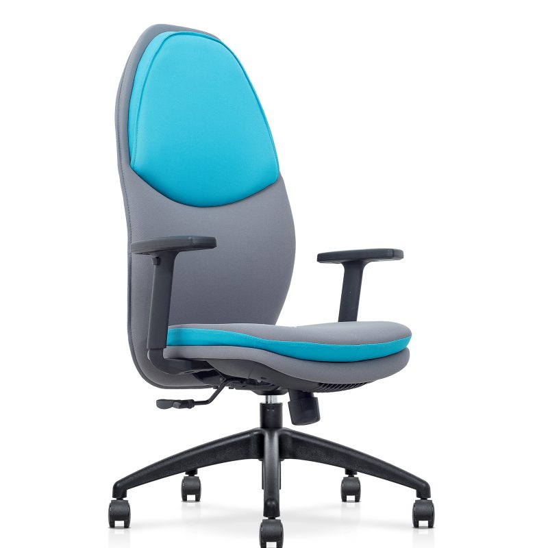 Executive Leather Office Chair – A-PRE 69/70/71