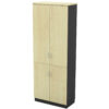 DUAL SWITCH DOOR HIGH CABINET – V-T-YTD 21