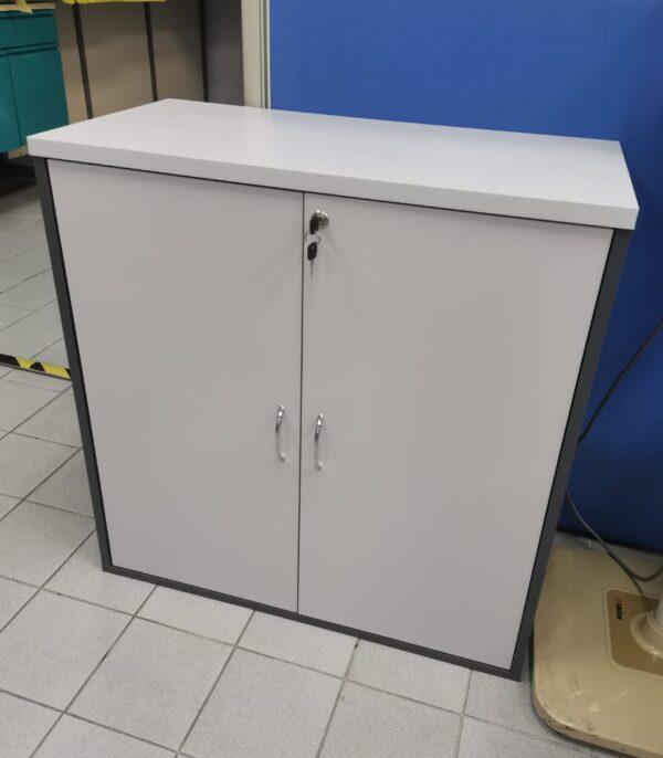 SWITCH DOOR LOW CABINET – V-GD 880