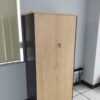 SWITCH DOOR MEDIUM CABINET – V-GW 747