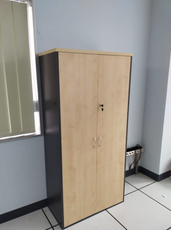 SWITCH DOOR MEDIUM CABINET – V-GW 747