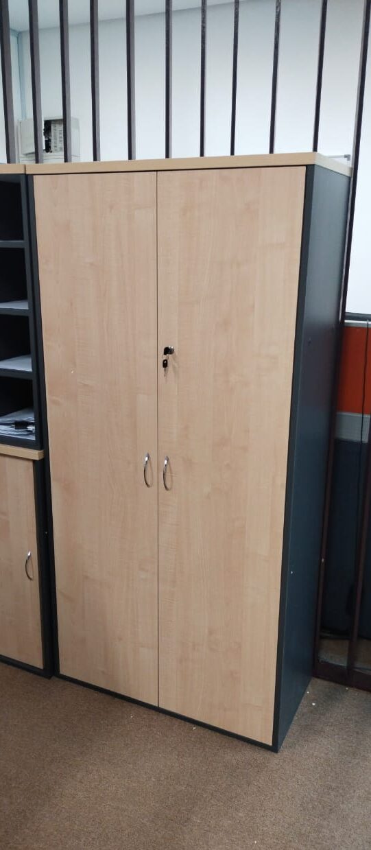 SWITCH DOOR MEDIUM CABINET – V-GW 747