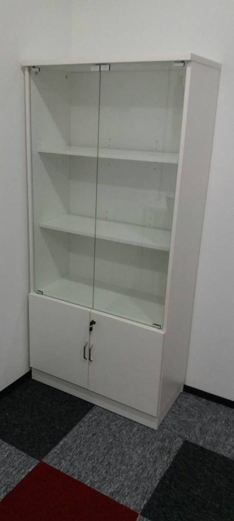 SWITCH GLASS DOOR MEDIUM CABINET – F1-FO-SG