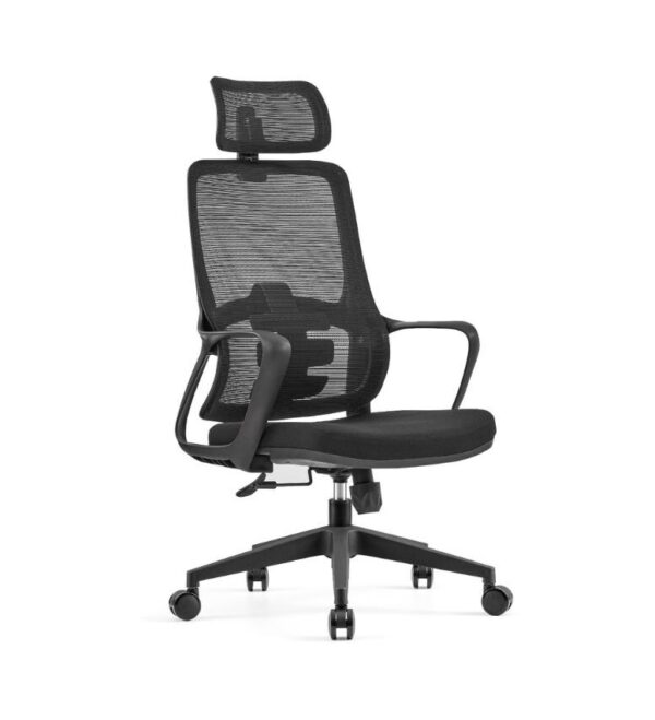 Ergonomic Mesh Chair - C-A-853