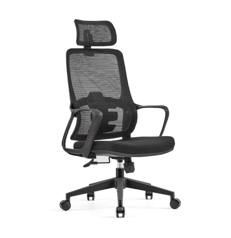 Ergonomic Mesh Chair - C-A-853