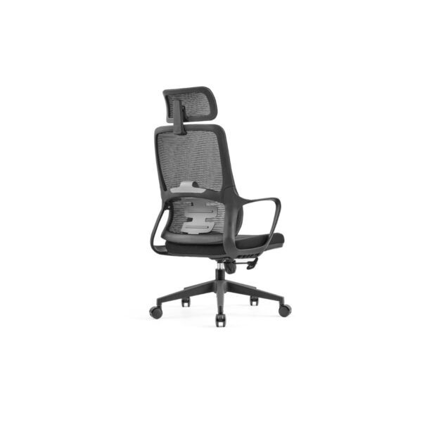 Ergonomic Mesh Chair - C-A-853