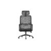 Ergonomic Mesh Chair - C-A-853