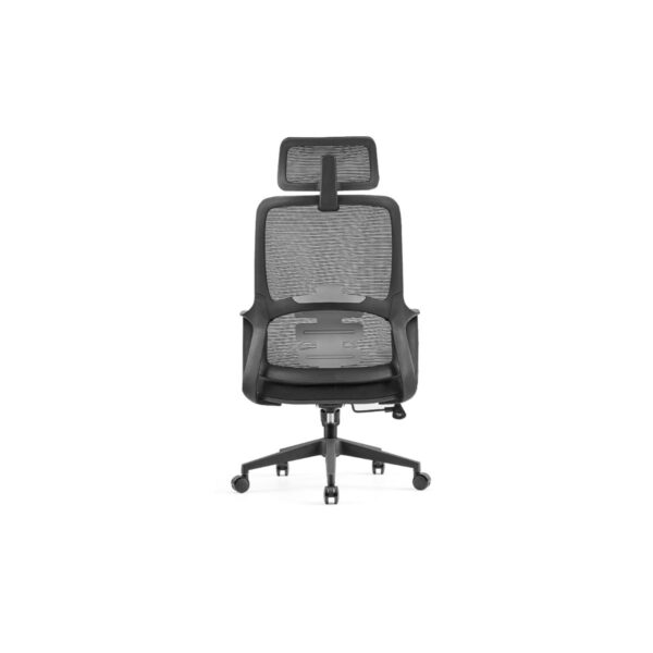 Ergonomic Mesh Chair - C-A-853