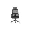 Ergonomic Mesh Chair - C-A-853