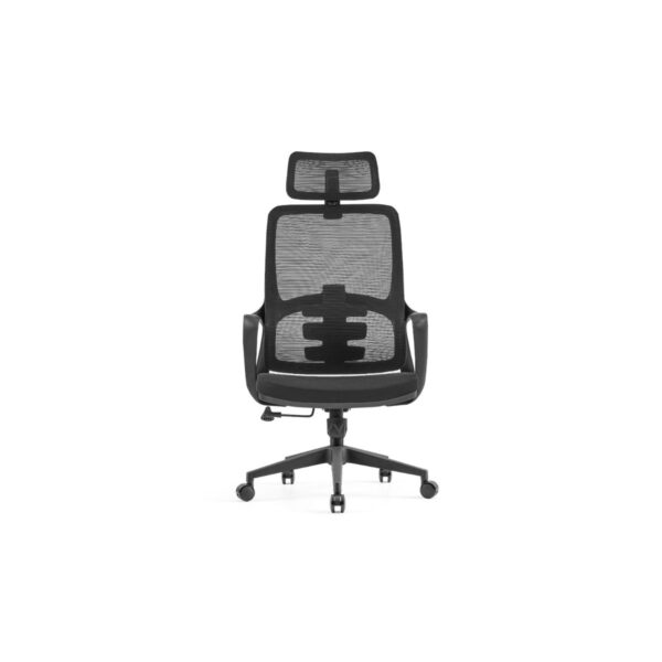 Ergonomic Mesh Chair - C-A-853