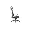 Ergonomic Mesh Chair - C-A-853