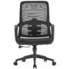 Ergonomic Mesh Chair - C-B-853