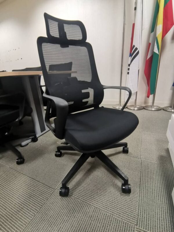 Ergonomic Mesh Chair - C-A-853