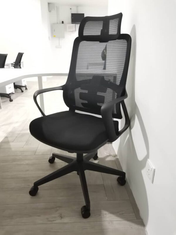 Ergonomic Mesh Chair - C-A-853